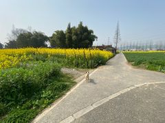 -桤木河湿地公园