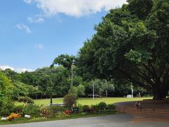 -莲花山公园