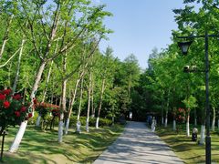 -狼山风景名胜区