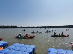 -上海海湾国家森林公园