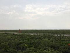 -北海金海湾红树林生态旅游区