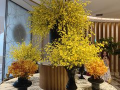 -亚特兰蒂斯-番红花海鲜自助餐厅·鲜活海鲜·小火锅