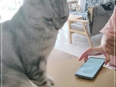 -平行世界·猫咖(首经贸店)
