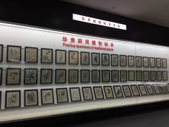 -中国药科大学（江宁校区）-图书馆