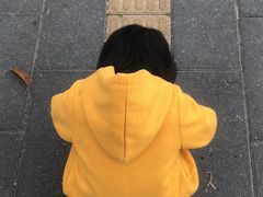 -仙岳公园