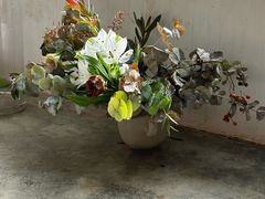 -自由生长植物工作室(深港花卉中心店)