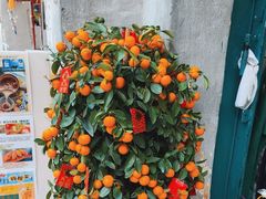 -添發碗仔翅美食