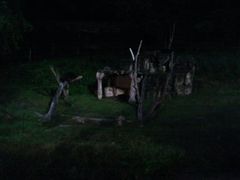 -清迈夜间动物园