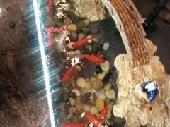 -一品江湖烧烤餐厅