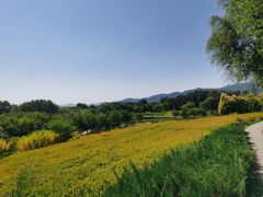 -北坞公园