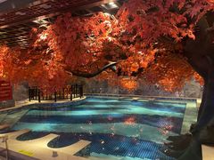 -寻梦盛唐主题水会(龙岗店)