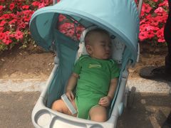 -武清南湖绿博园