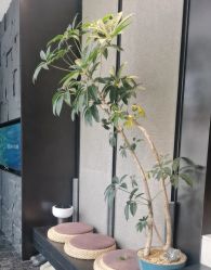 -欧兔博士·O2BOX微高压氧舱