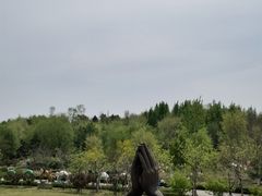 -莫子山公园