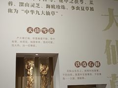 -北京中医药大学-中医药博物馆