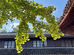 -龙华寺