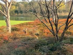 -养云安缦吧THE BAR