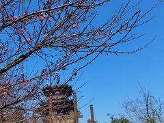 -杭州半山国家森林公园