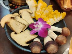 -丽江庭院之爱在路上(西单店)