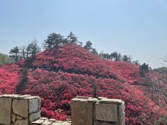 -木兰云雾山