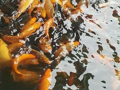 -威海华夏城景区