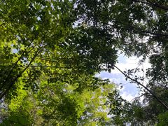 -陶祖圣境风景区