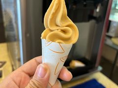 姜醋雪糕-国家五钻酒家·西樵旺阁渔村(西樵店)