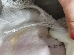 -美联众合24小时·皮肤科·外科·全科诊疗中心(华苑分院)