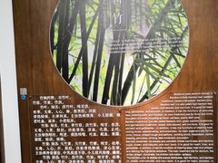 -李时珍纪念馆