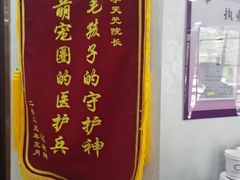 -宠爱国际动物医院·消化内科·心肾内科·ISFM猫友好(望京店)