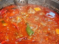 -阳阳老火锅(小南门店)