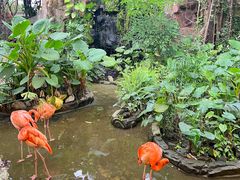 -长鹿旅游休博园