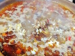 -沙胆彪炭炉牛杂煲(成都玉林店)