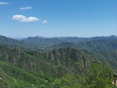 -大岭沟猕猴桃谷风景区