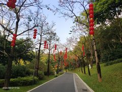 -云溪植物园