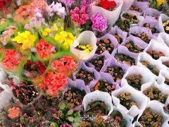 -双季花艺园艺市场(浦东店)