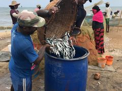 -尼甘布海鲜市场