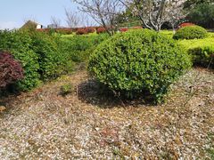 -UNIUNI(凯瑟琳广场店)