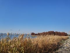 -滴水湖