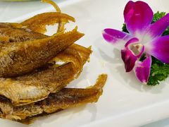 -老人和饭店(淮海中路店)