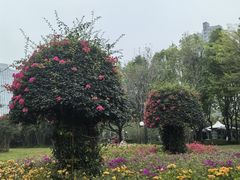 -荔香公园