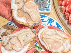 -东镇老火锅(长春路首店)