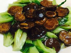 -黄埔华苑酒家(黄埔店)