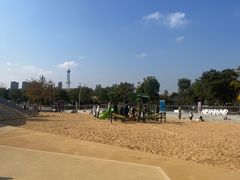 -上海山野camping·户外天幕烧烤·团建拓展营地