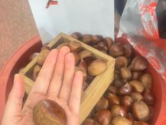-西归浦每天偶来市场