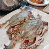 拔草[拔草]又一家海鲜自助新贵“采极鲜”[愉快]