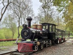 -上海浦江郊野公园-5号停车场