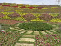 -紫颐香薰山谷景区