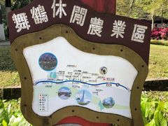 -瑞穗牧场