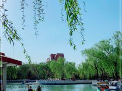 -丰台花园